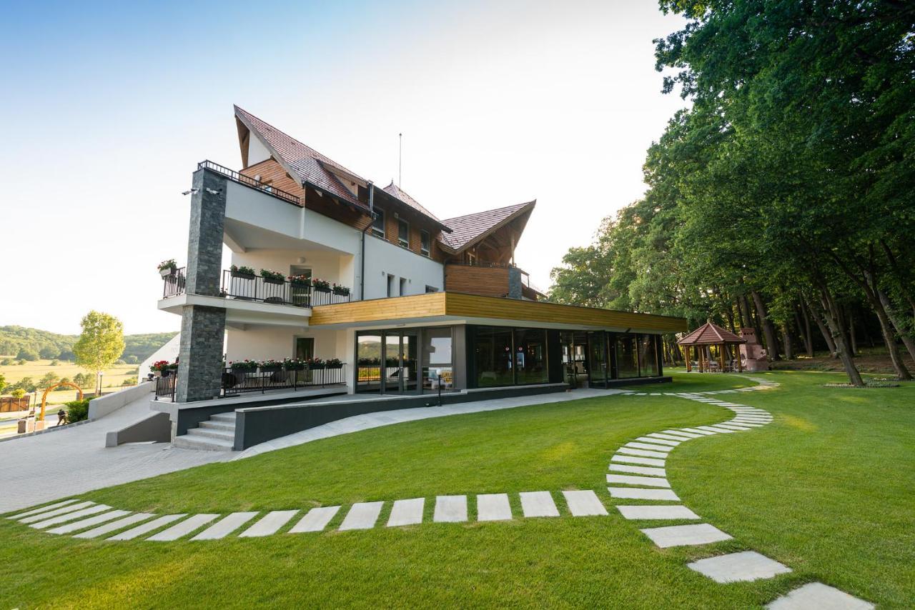 Panorama Boutique Hotel Sfantu Gheorghe  Exterior photo